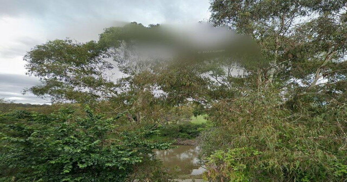 Libraries in Abbotsford — Beyond Books