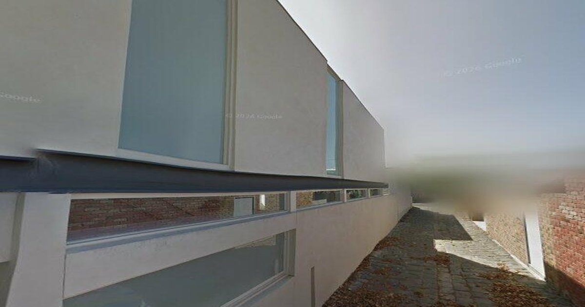 Albert Park Community Guide — Groups, Events, Culture