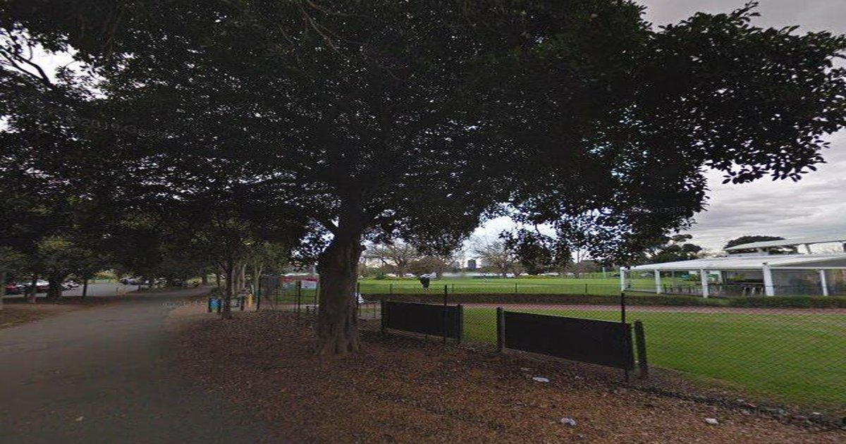 Albert Park Food Crawl — The Ultimate Route