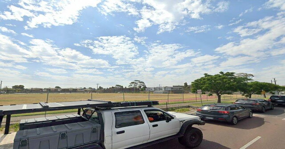 Albion Council Services — Everything You Need