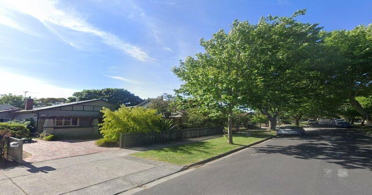 Libraries in Alphington — Beyond Books