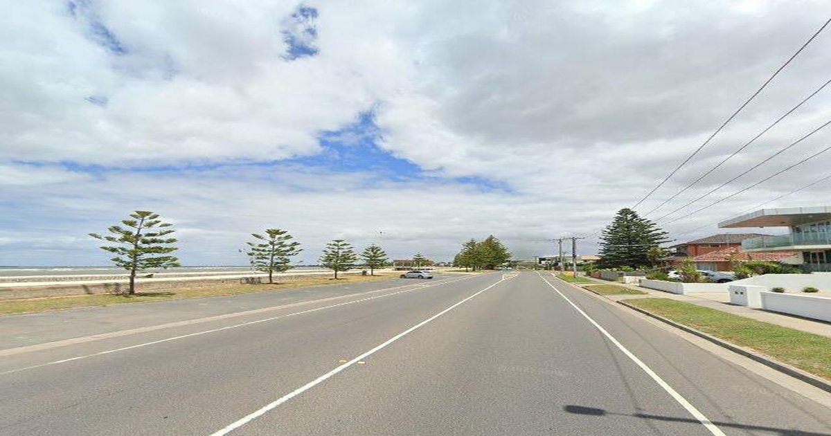 Best Dog Friendly Guide in Altona Melbourne — 2026 Guide