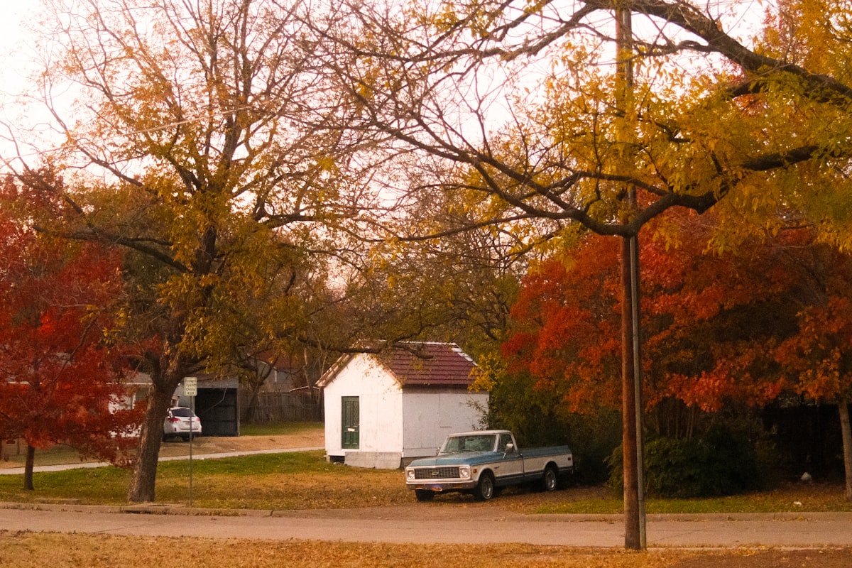 Is Armadale Safe? Safety Guide (2026)