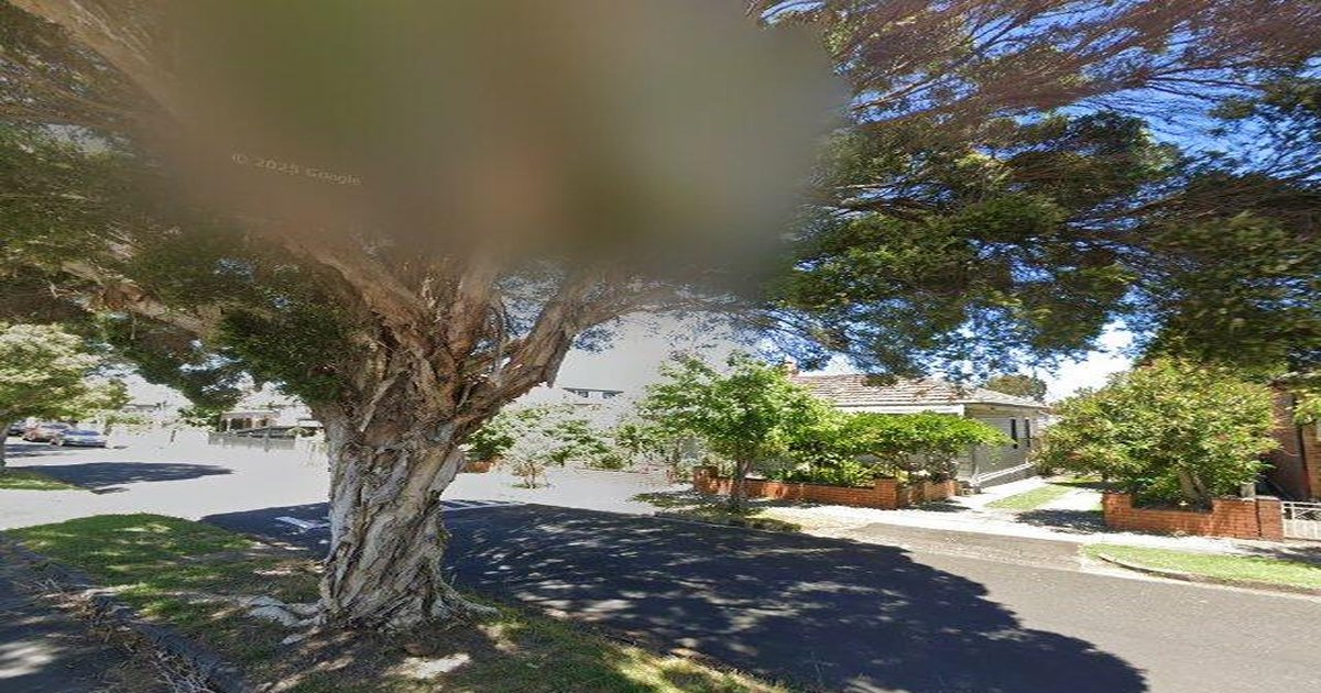 Best Pizza Food in Ascot Vale (2026) — 3 Restaurants