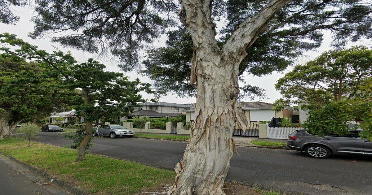 Libraries in Ascot Vale — Beyond Books