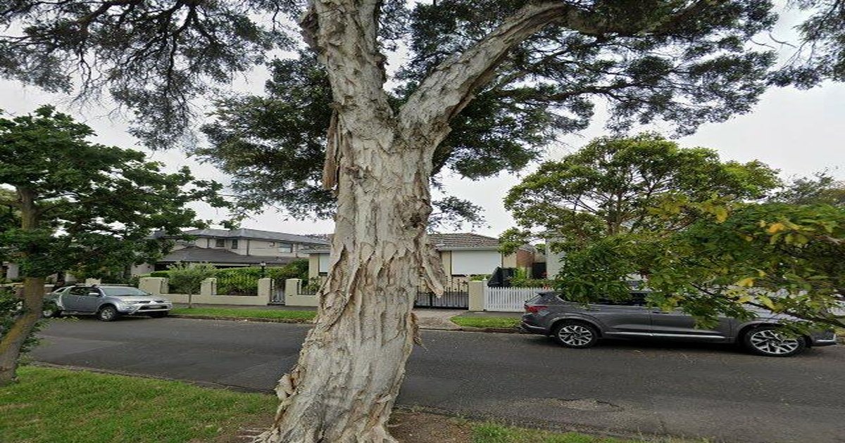 Living in Ascot Vale: Complete Neighbourhood Guide (2026)