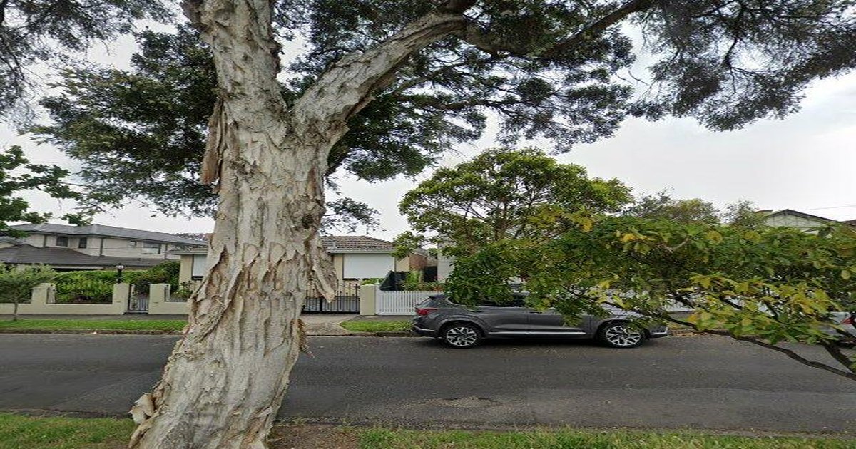 Is Ascot Vale Good for Young Professionals? (2026)