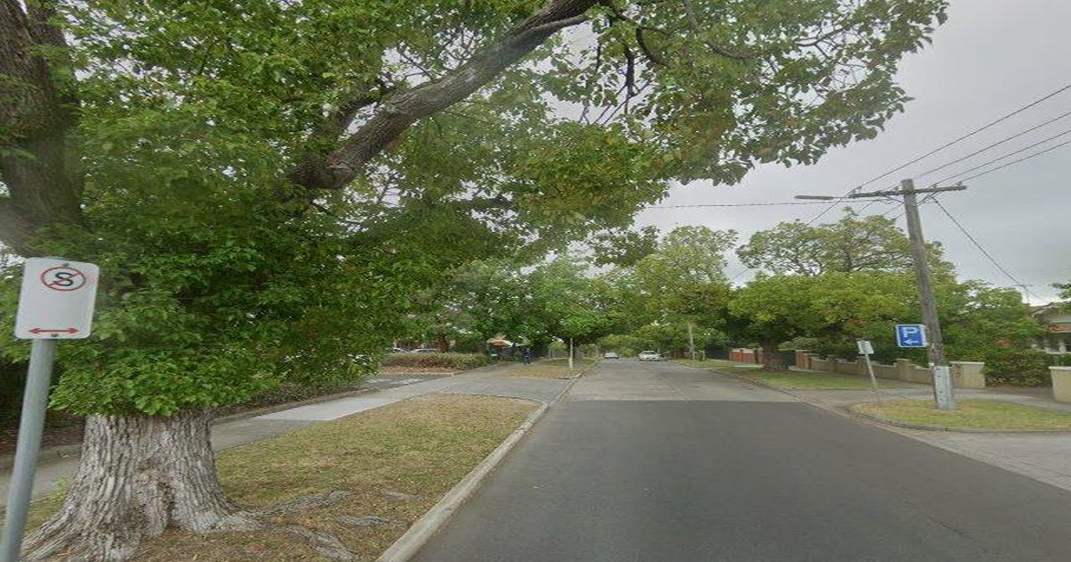 Best Cafes in Ashburton (2026) — 15 Spots Ranked