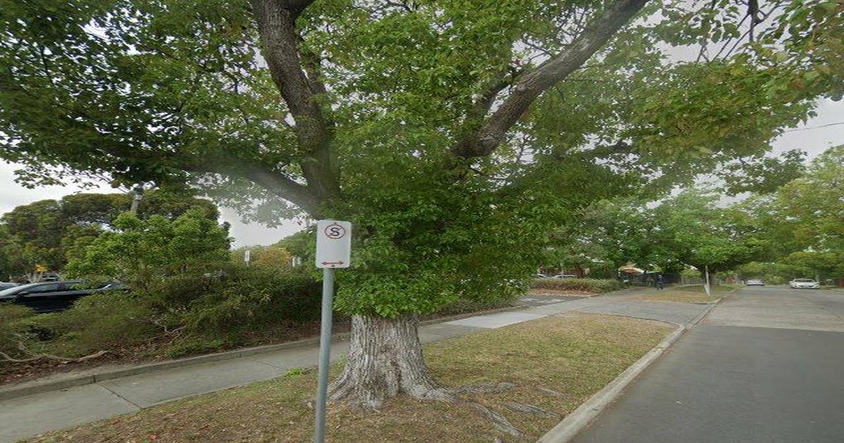 Best Pizza in Ashburton — 2026 Guide