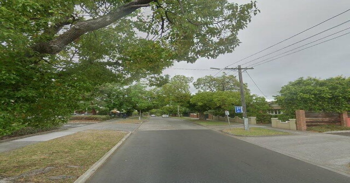 Best Takeaway in Ashburton — 2026 Guide