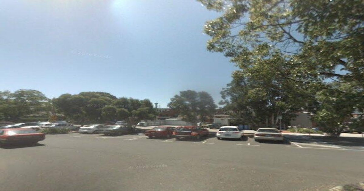 Best Dog Friendly Guide in Ashburton Melbourne — 2026 Guide