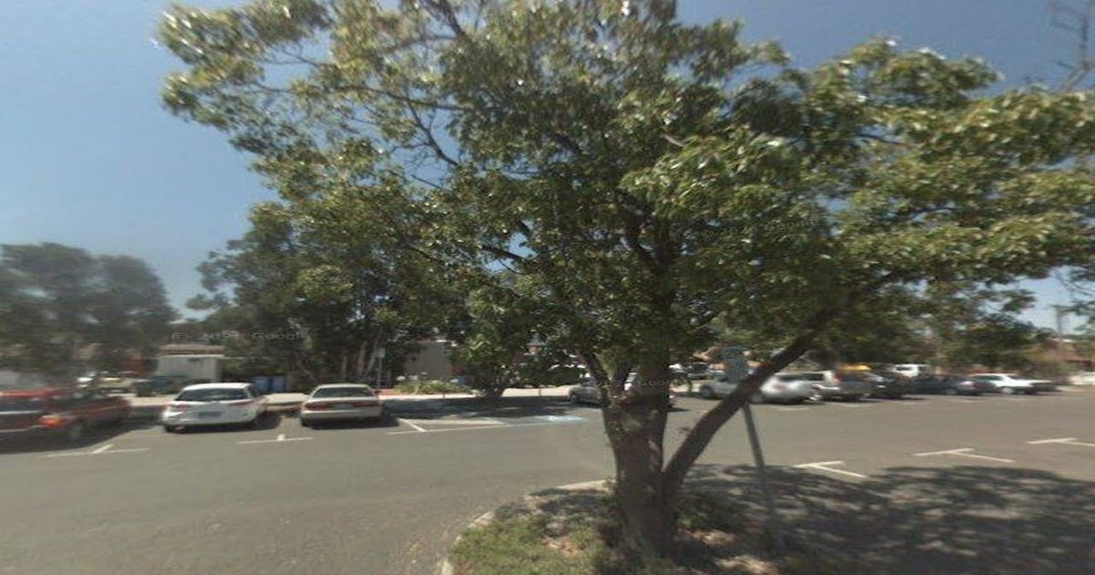 Healthcare in Ashburton — GPs, Specialists, Hospitals