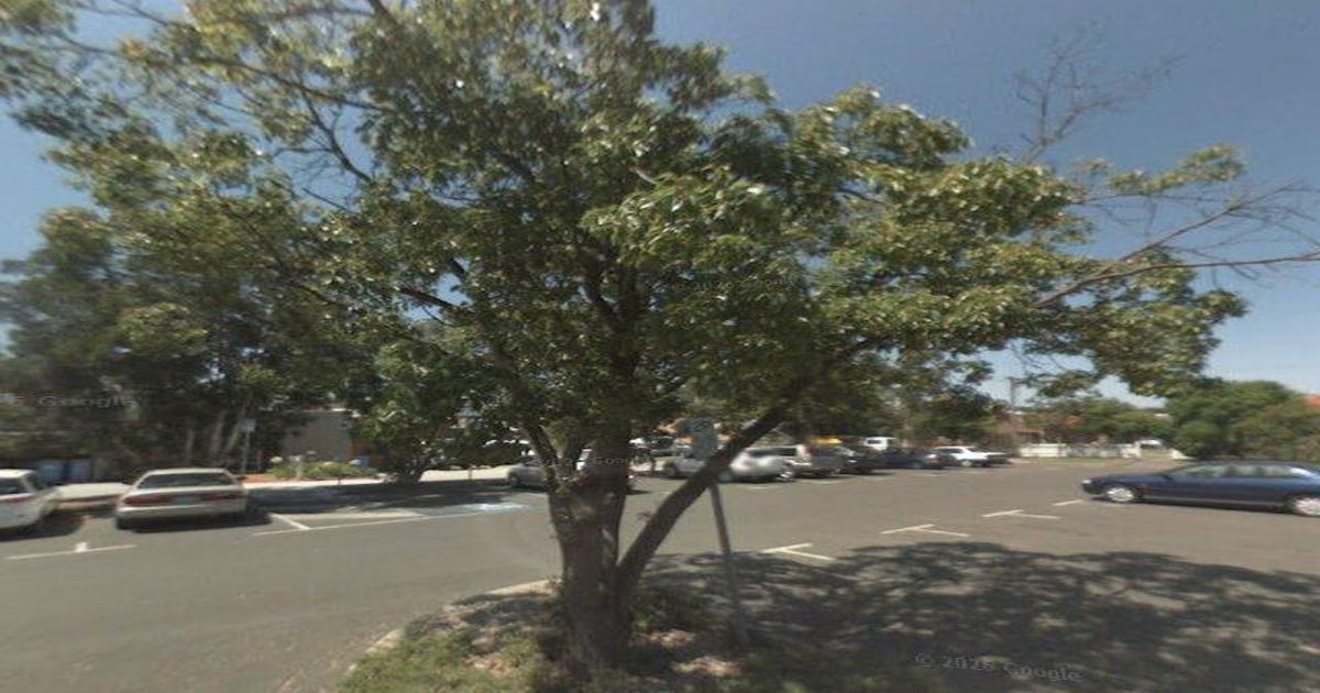 Ashburton — History and How It's Changed