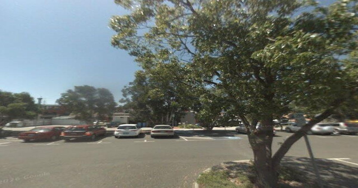 Is Ashburton Safe? Crime, Safety and What Locals Say (2026)