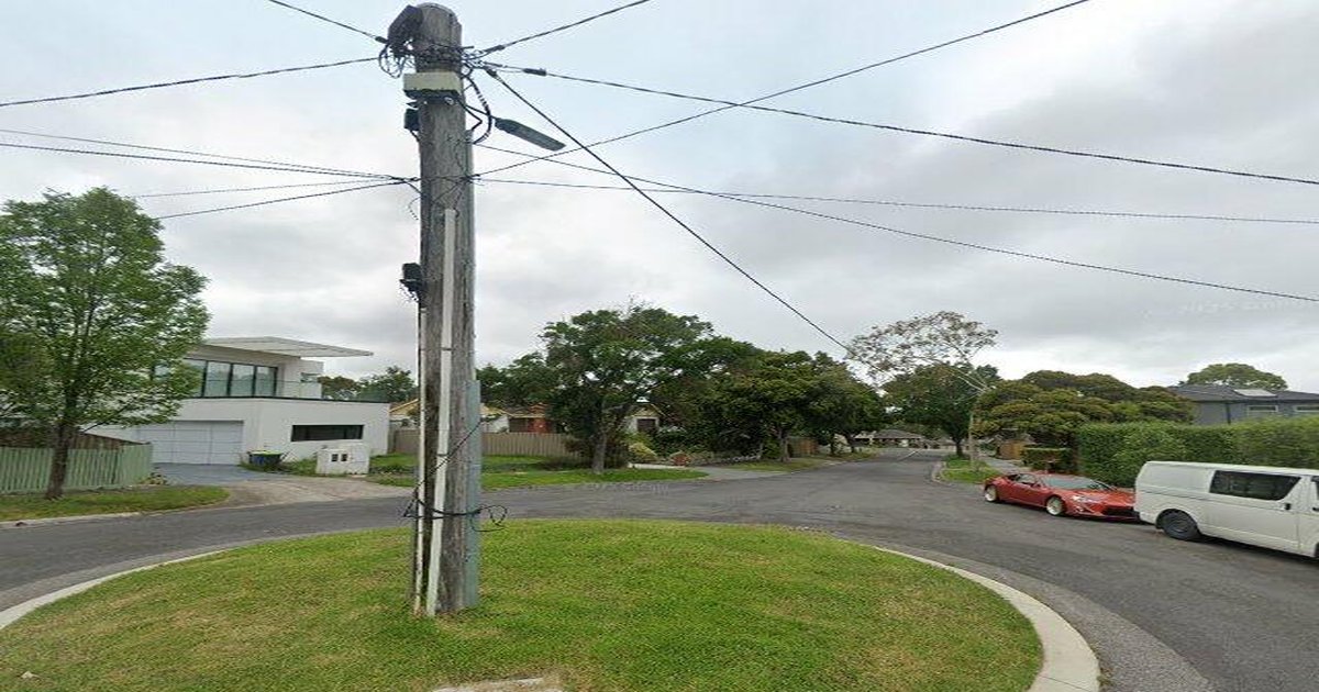 Best Playgrounds in Ashwood — Parent's Guide