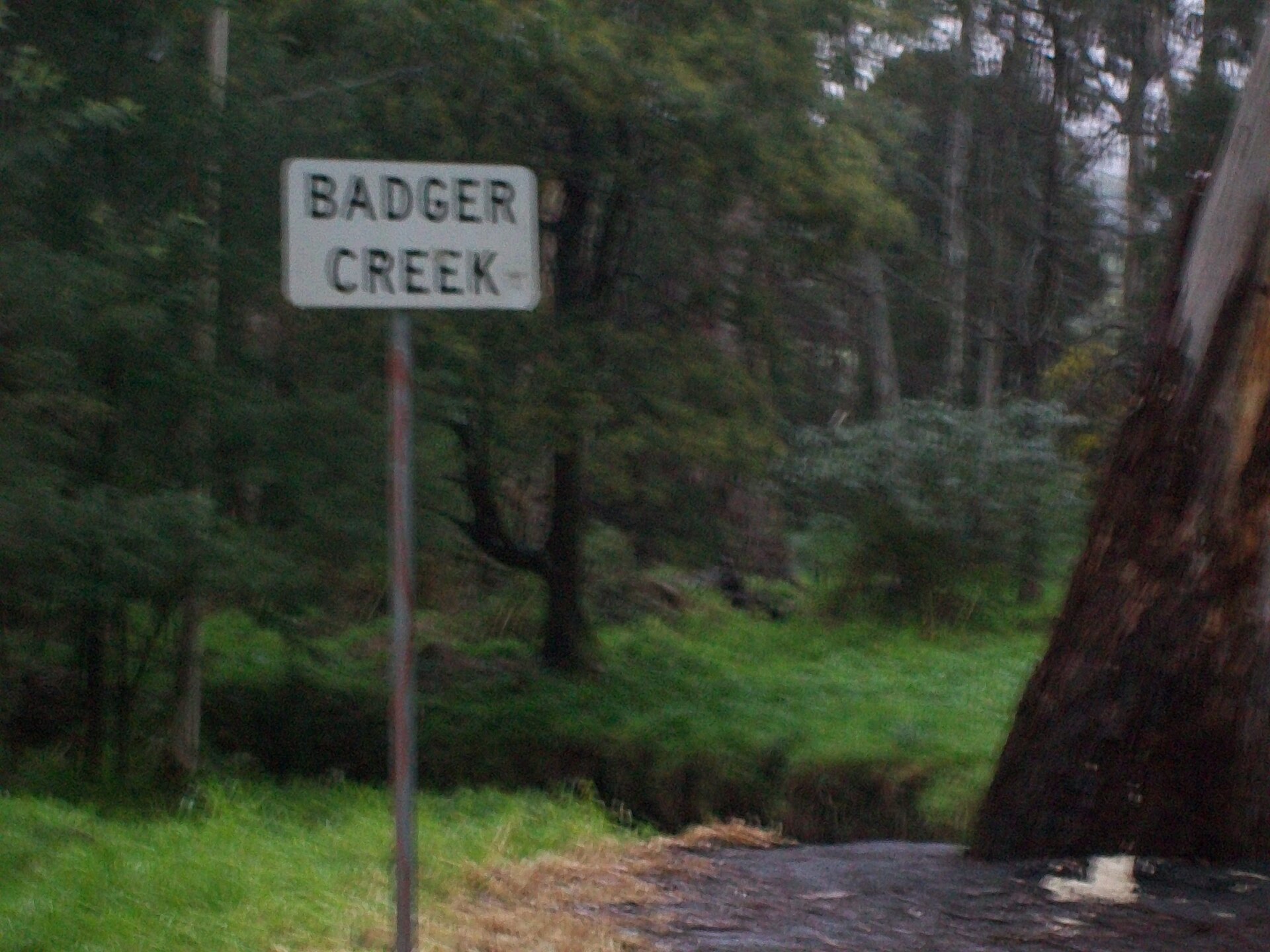 Rental Yield in Badger Creek 2026: Houses vs Units Compared