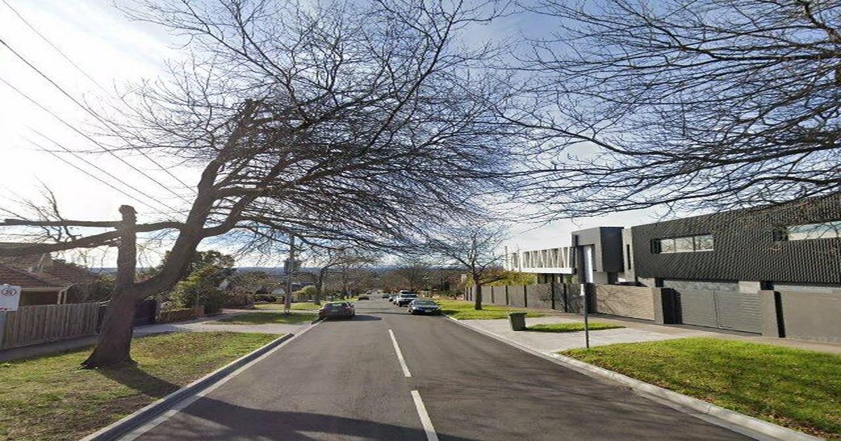 Best Takeaway in Balwyn North — 2026 Guide