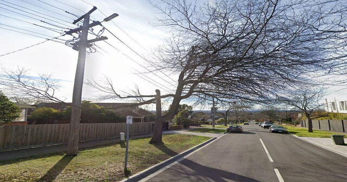 Best Playgrounds in Balwyn North — Parent's Guide