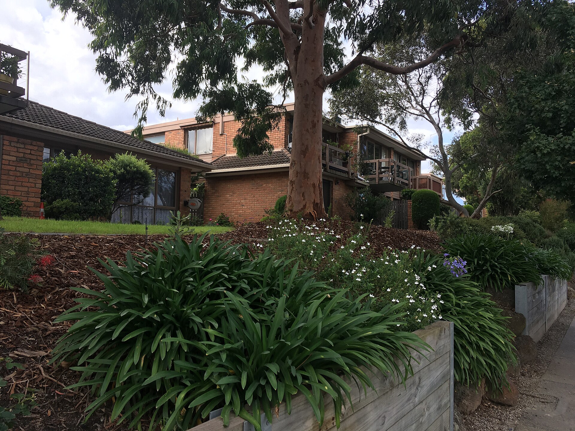Balwyn Renovation Guide 2026: Unrenovated Homes & Flip Potential