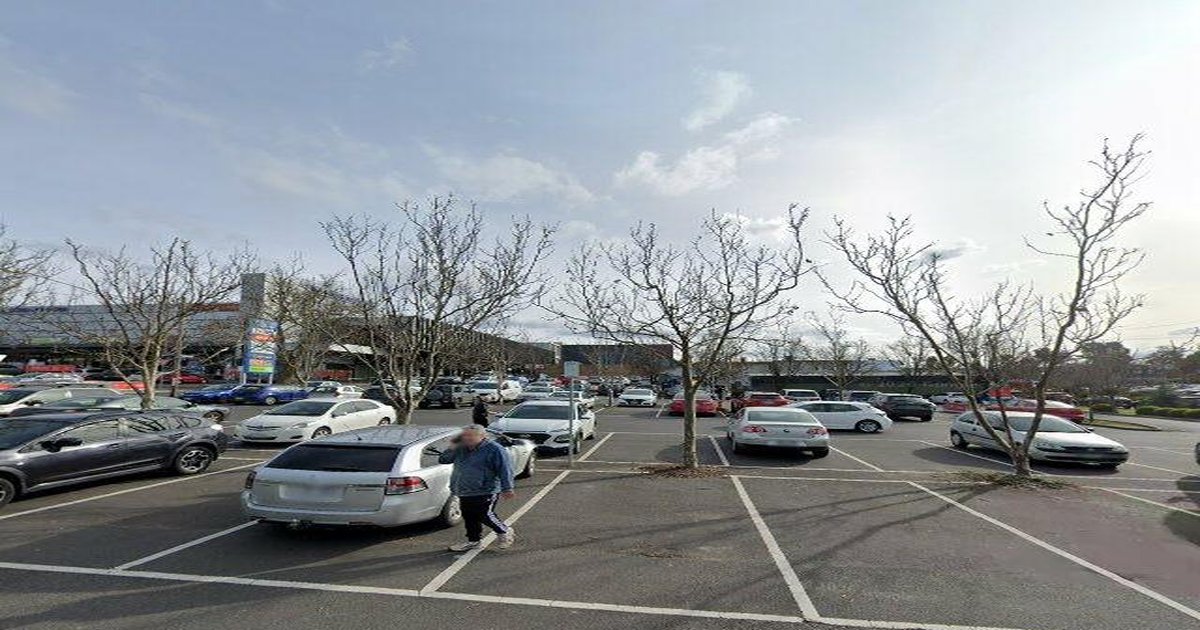 Bayswater Council Services — Everything You Need