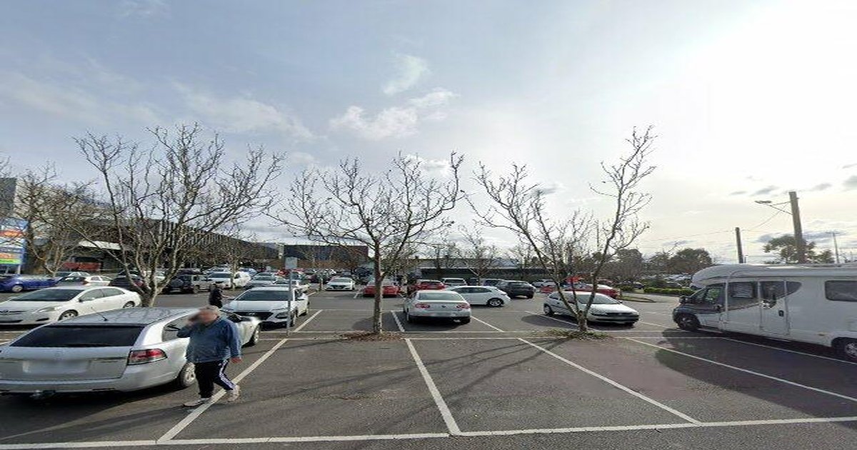 Libraries in Bayswater — Beyond Books