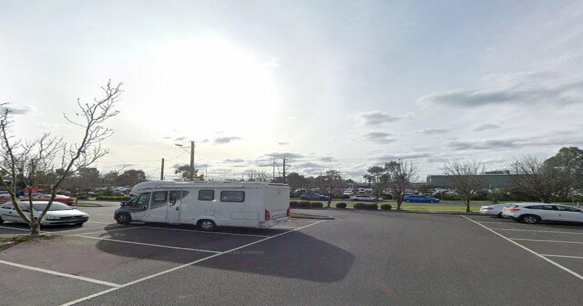 Schools in Bayswater (2026) — 6 Schools Guide