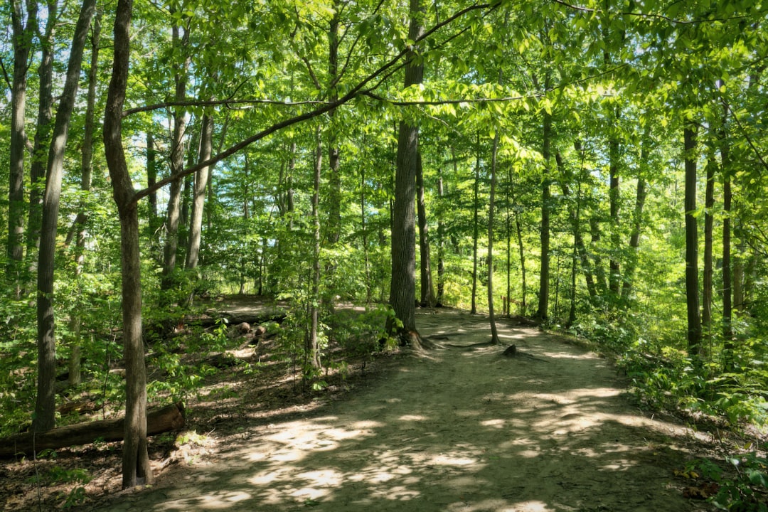 Parks & Green Spaces in Beaconsfield