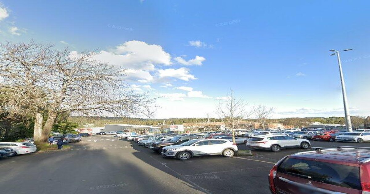 Best Bakeries in Belgrave — 2026 Guide