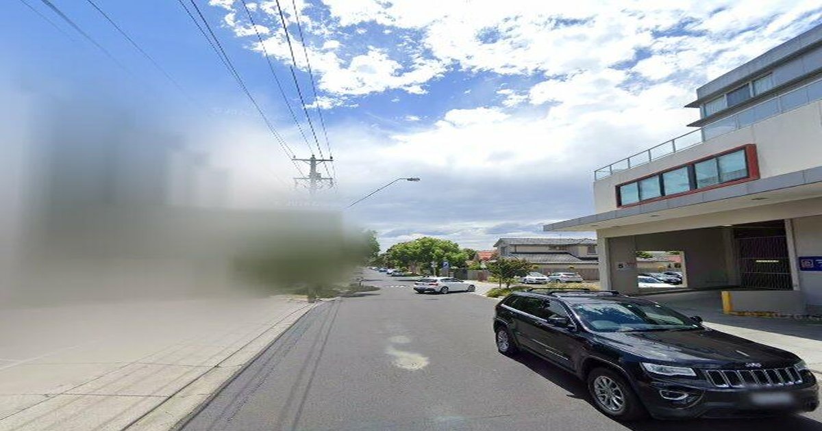 Pet-Friendly Bentleigh (2026) — Dog Parks, Cafes & Vets