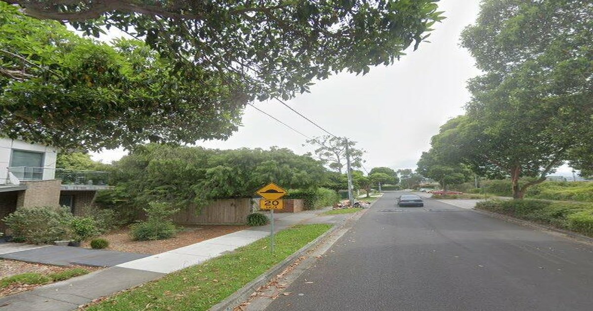 Best Dog Friendly Guide in Boronia Melbourne — 2026 Guide