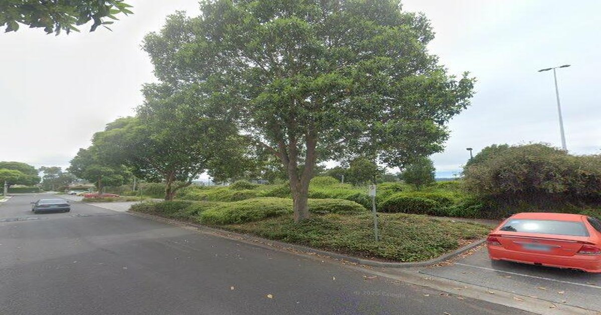 Boronia — History and How It's Changed