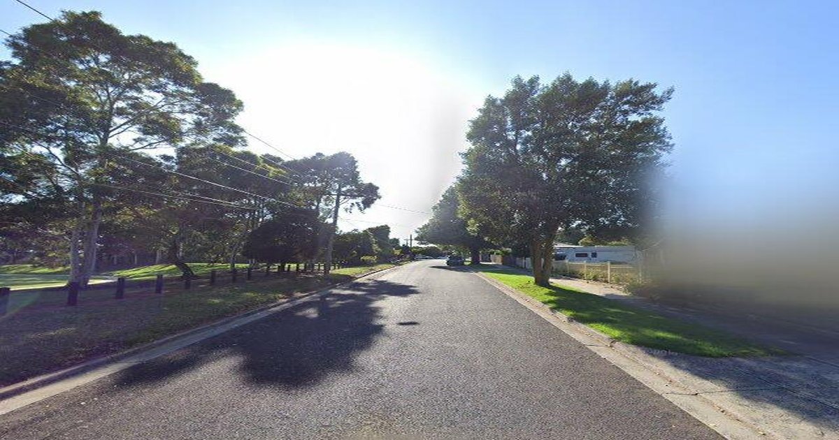 Is Boronia Good for Young Professionals? (2026)