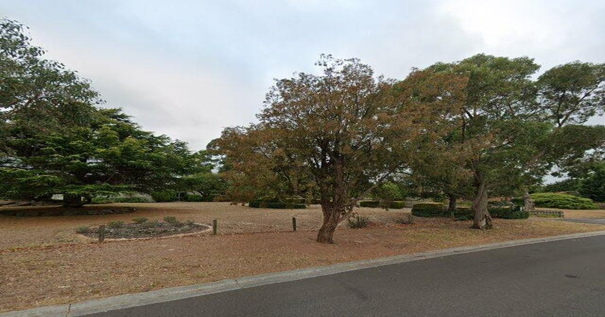 Schools Guide — Botanic Ridge