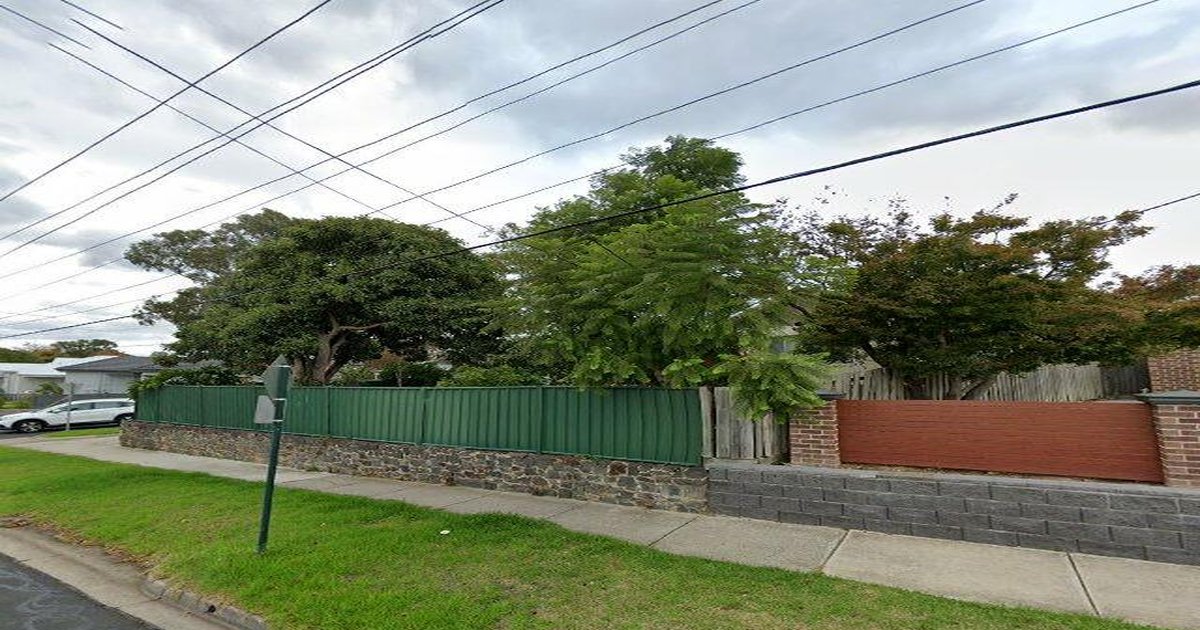 Box Hill North Community Guide — Groups, Events, Culture