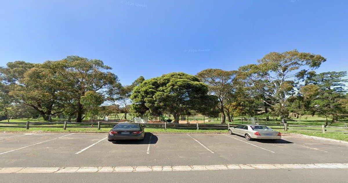 Box Hill North Transport Guide (2026) — Trains, Trams, Buses