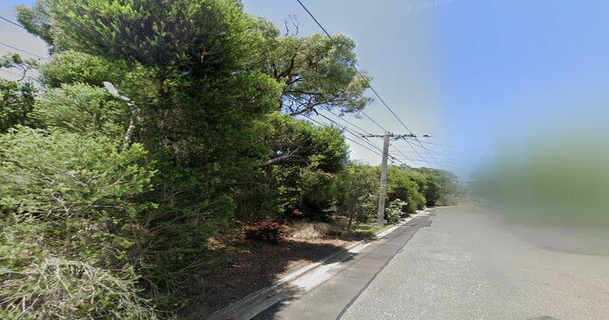 Best Bakeries in Brighton — 2026 Guide