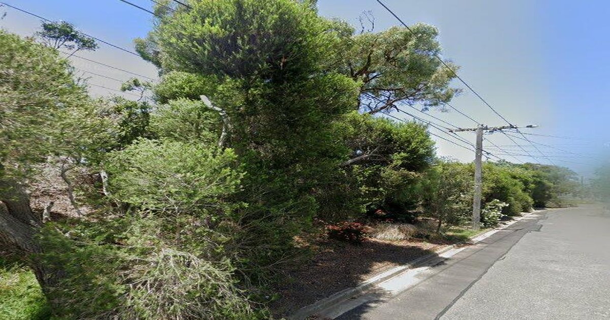 Best Pizza in Brighton — 2026 Guide