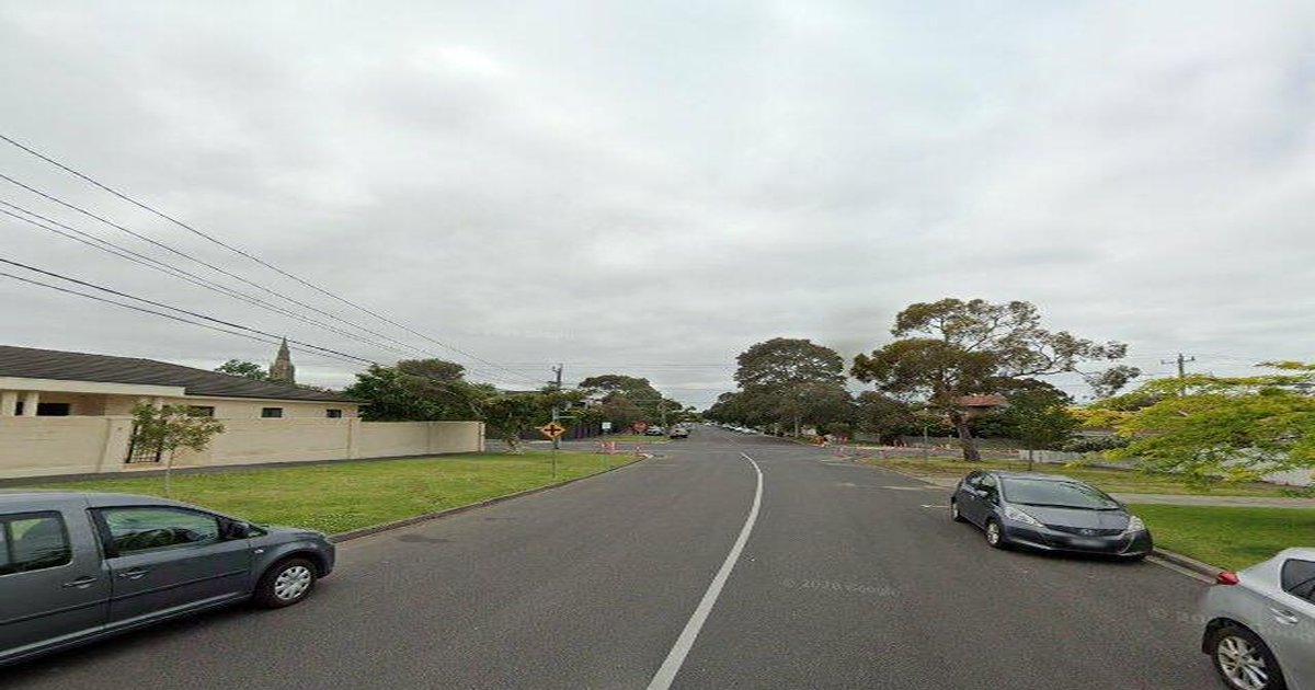 Brighton Community Guide — Groups, Events, Culture