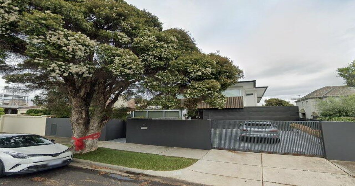 Best Dog Friendly Guide in Brighton Melbourne — 2026 Guide