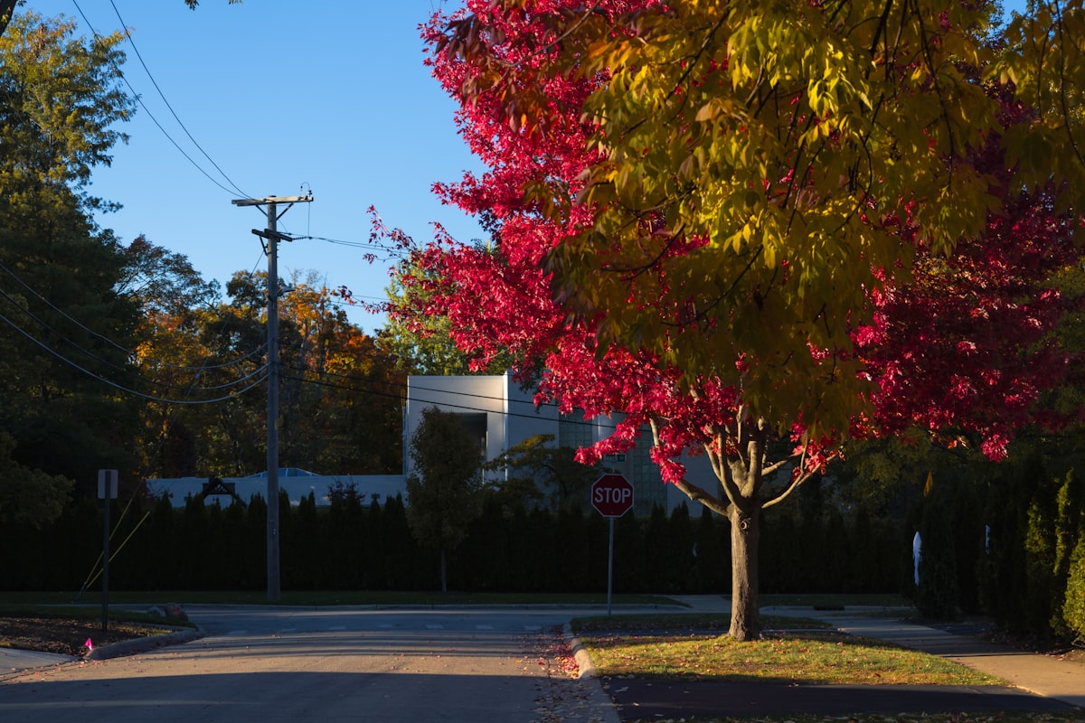 Is Brunswick Safe? Safety Guide (2026)