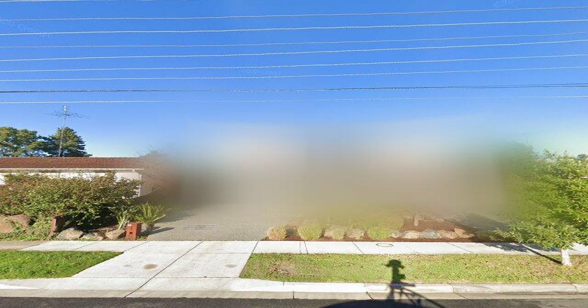 Pet-Friendly Bulleen (2026) — Dog Parks, Cafes & Vets