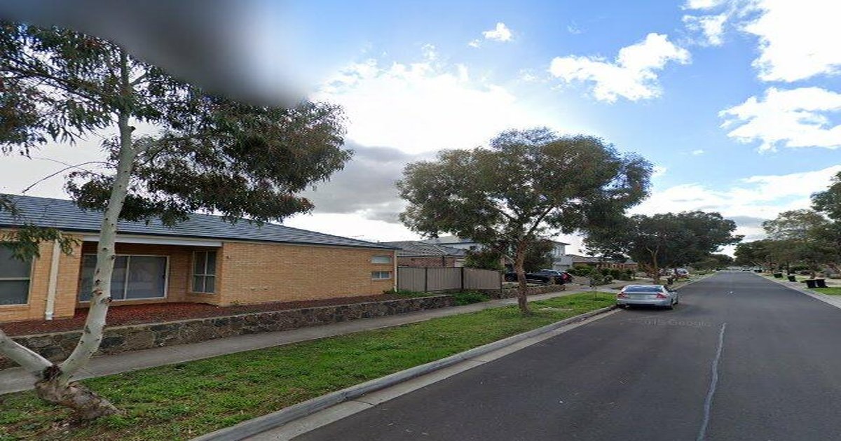 Libraries in Burnside Heights — Beyond Books