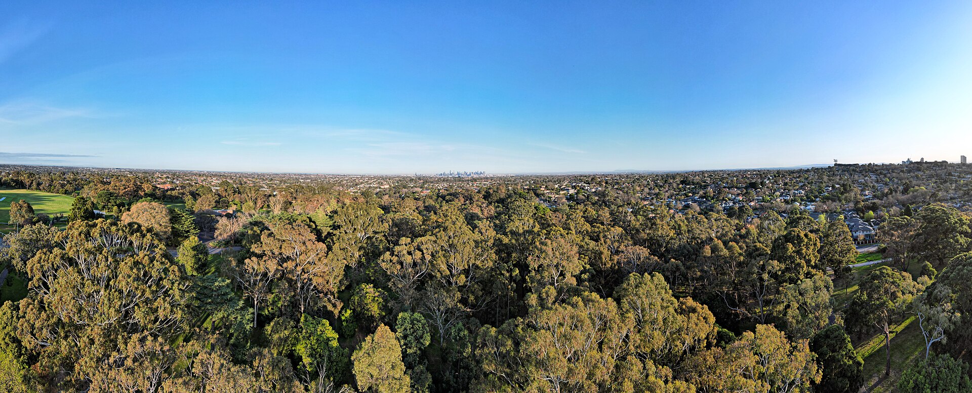 Burwood Renovation Guide 2026: Unrenovated Homes & Flip Potential