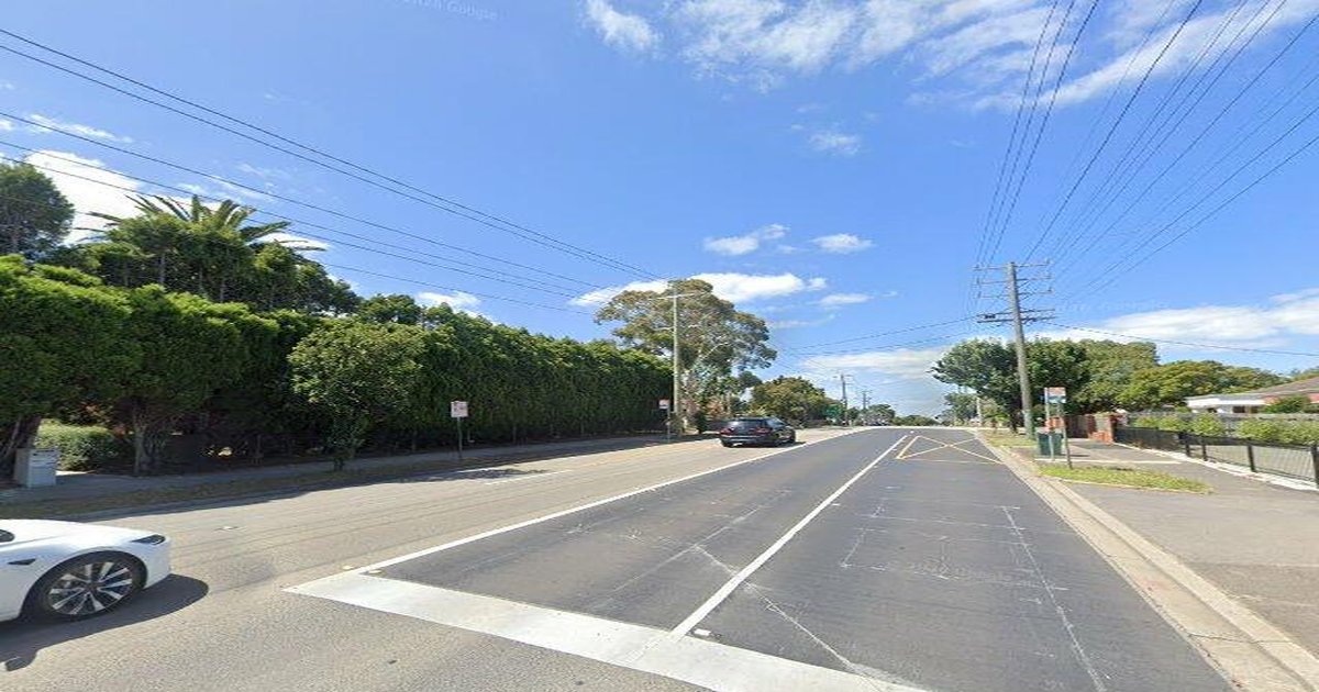 Burwood Food Crawl — The Ultimate Route