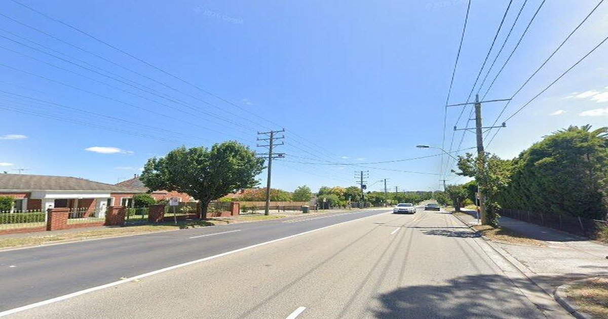 Living in Burwood: Complete Neighbourhood Guide (2026)