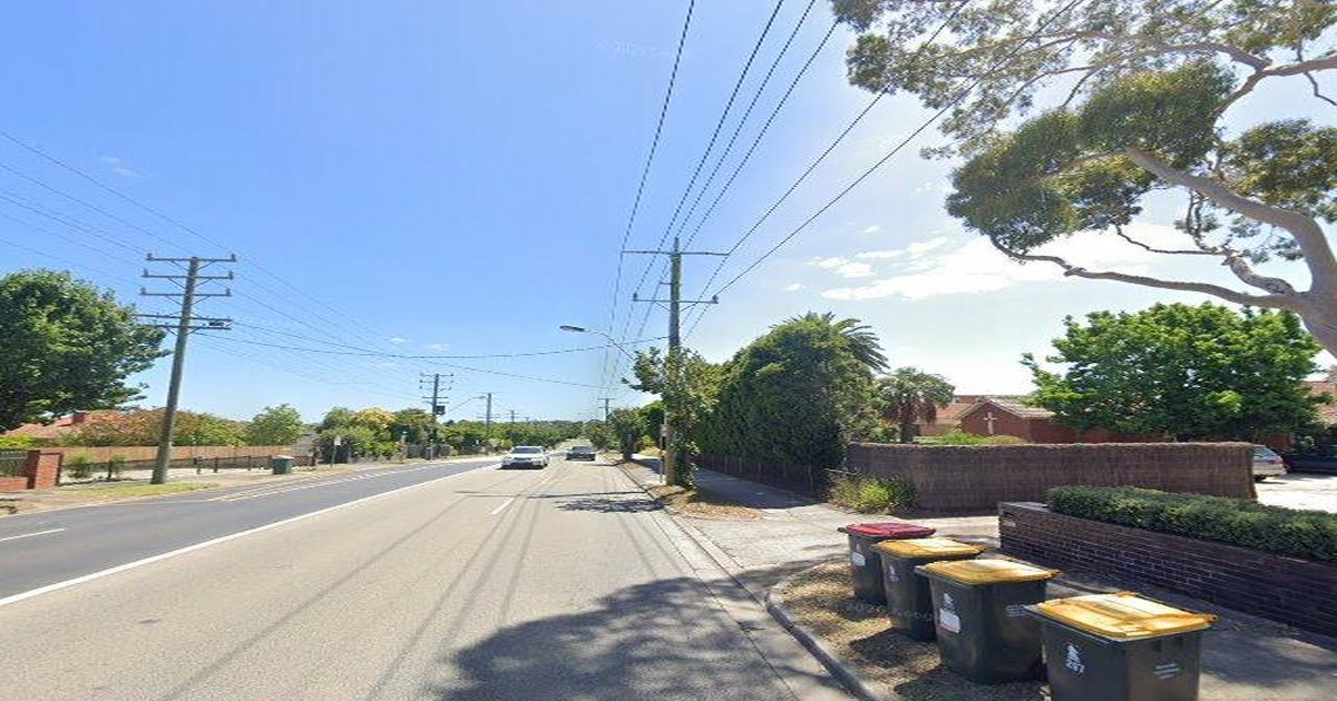 Pet-Friendly Burwood (2026) — Dog Parks, Cafes & Vets