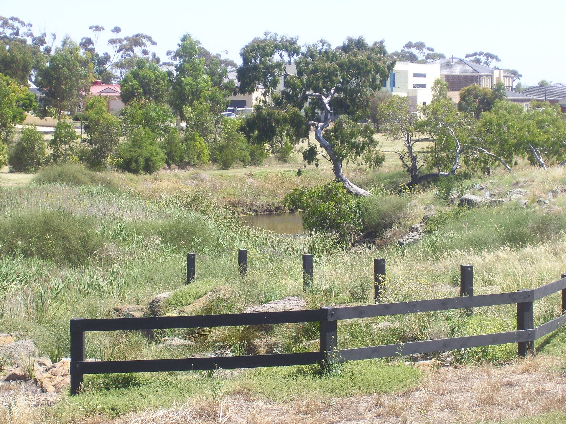 Property Price Predictions for Cairnlea: 2026, 2027, 2028