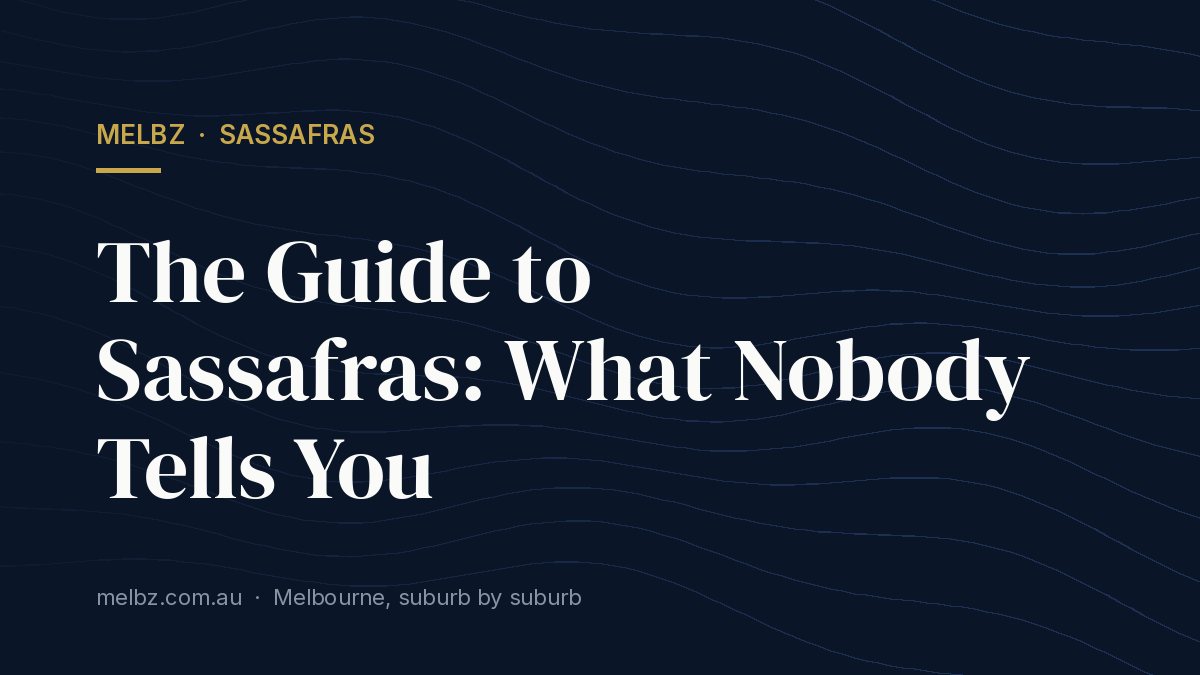 Title card: The Guide to Sassafras: What Nobody Tells You
