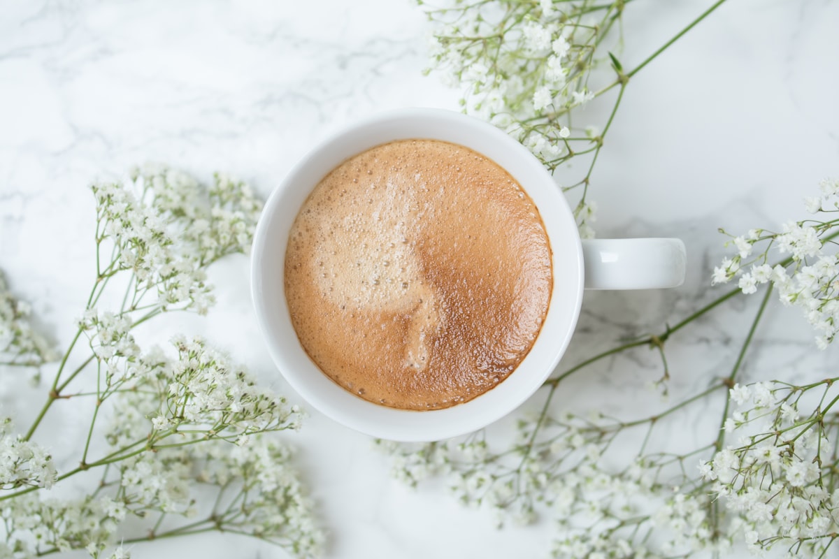 Best Cafes in Spring Racing Carnival Melbourne Suburb Guide Melbourne
