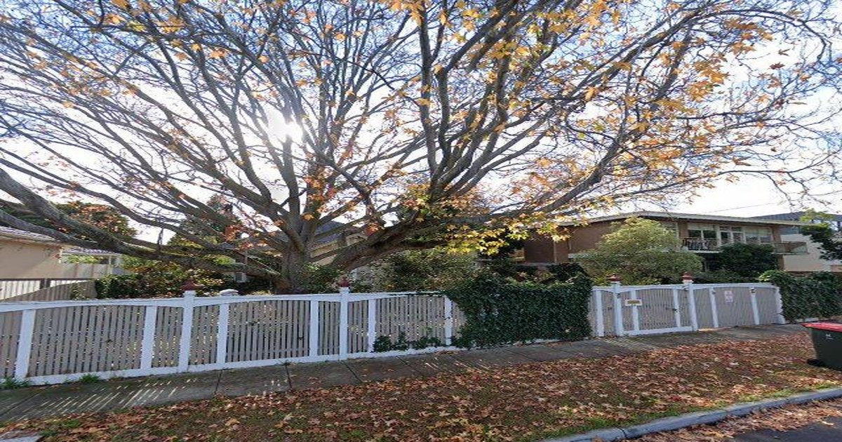 Best Breakfast in Caulfield North — 2026 Guide